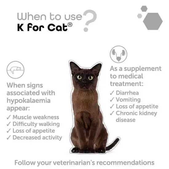 MP Labo K for Cat Potassium Capsules for Dogs and Cats (60 Capsules)