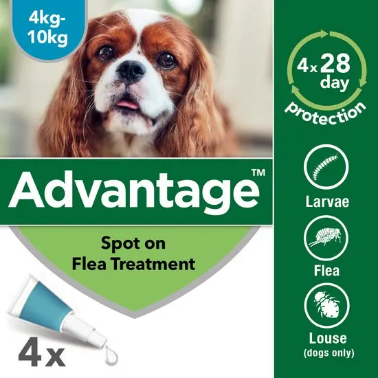 Advantage Spot-On Flea Treatment for Cats, Dogs and Rabbits (Imidacloprid)