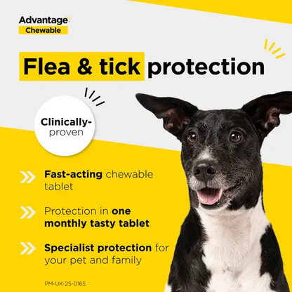 Advantage Chewable Tablets for Dogs – Flea & Tick Treatment