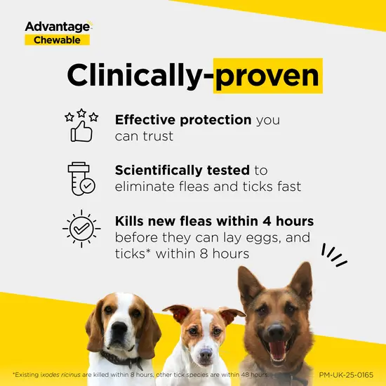 Advantage Chewable Tablets for Dogs – Flea & Tick Treatment