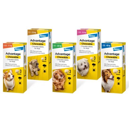 Advantage Chewable Tablets for Dogs – Flea & Tick Treatment