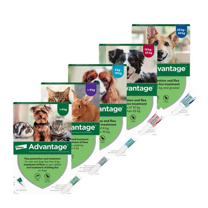 Advantage Spot-On Flea Treatment for Cats, Dogs and Rabbits (Imidacloprid)