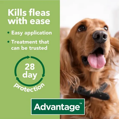 Advantage Spot-On Flea Treatment for Cats, Dogs and Rabbits (Imidacloprid)