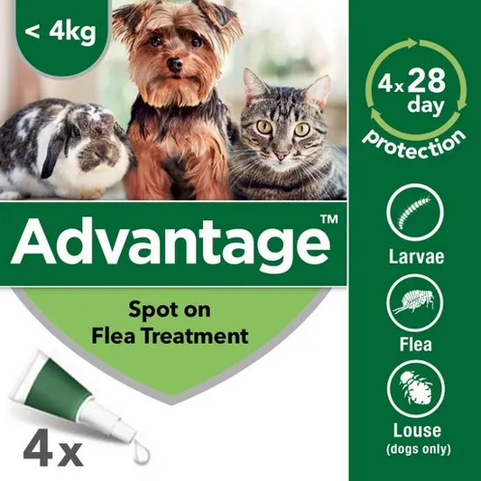 Advantage Spot-On Flea Treatment for Cats, Dogs and Rabbits (Imidacloprid)