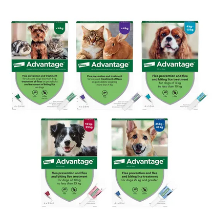 Advantage Spot-On Flea Treatment for Cats, Dogs and Rabbits (Imidacloprid)