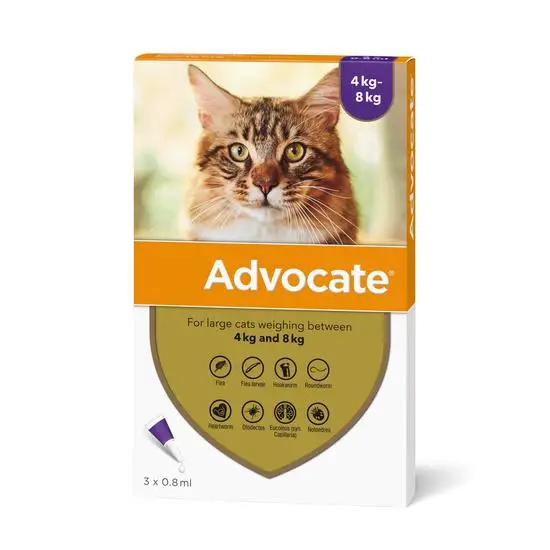 Advocate cat 4-8kg dewormer packaging with a cat's face on the label