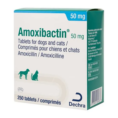 Amoxibactin Tablets for Dogs and Cats