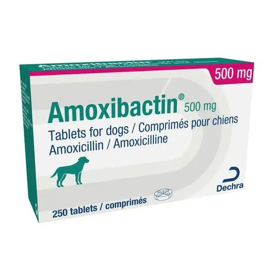 Amoxibactin Tablets for Dogs and Cats