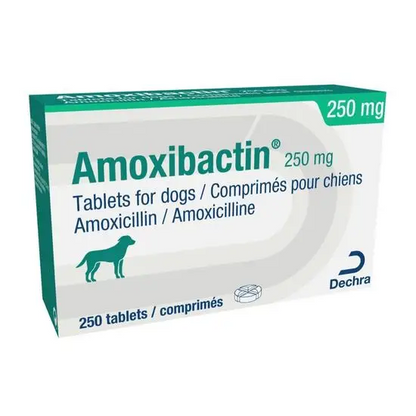 Amoxibactin Tablets for Dogs and Cats