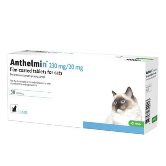 Box of Anthelmin tablets for cats with a cat illustration on a white background