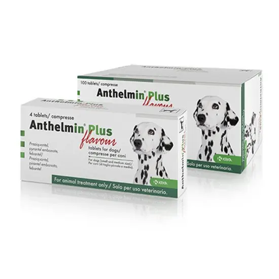 Box of Anthelmin'Plus flavour for dogs with Dalmatian images on a white background
