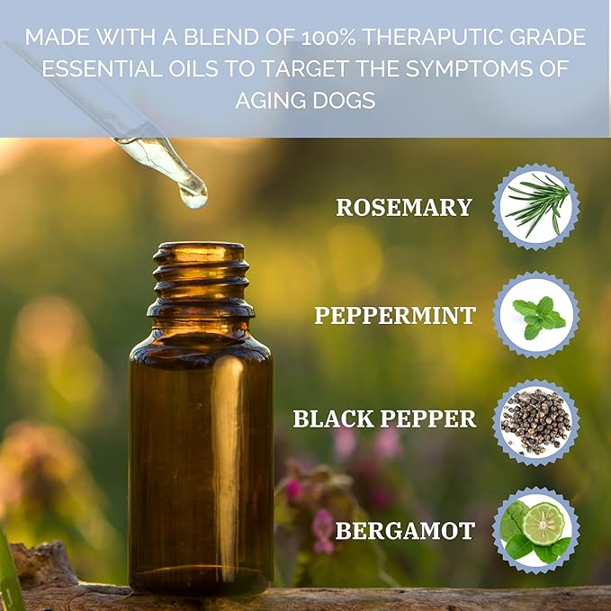 Bottle of essential oils with dropper and labels for rosemary, peppermint, black pepper, and bergamot on a natural background.