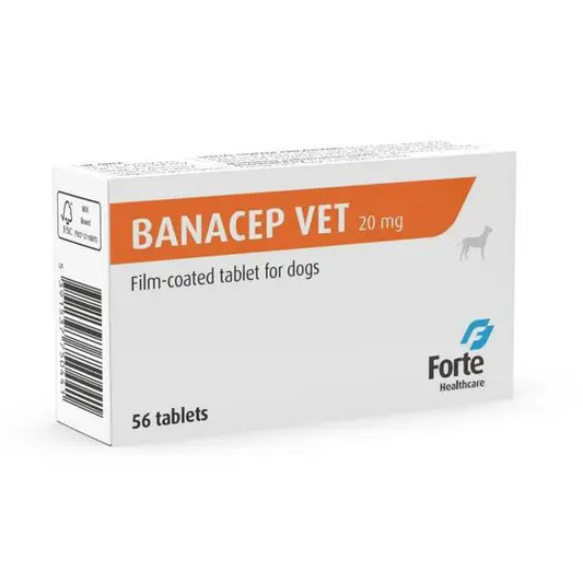 Box of Banacep Vet 20 mg film-coated tablets for dogs by Forte Healthcare on a white background