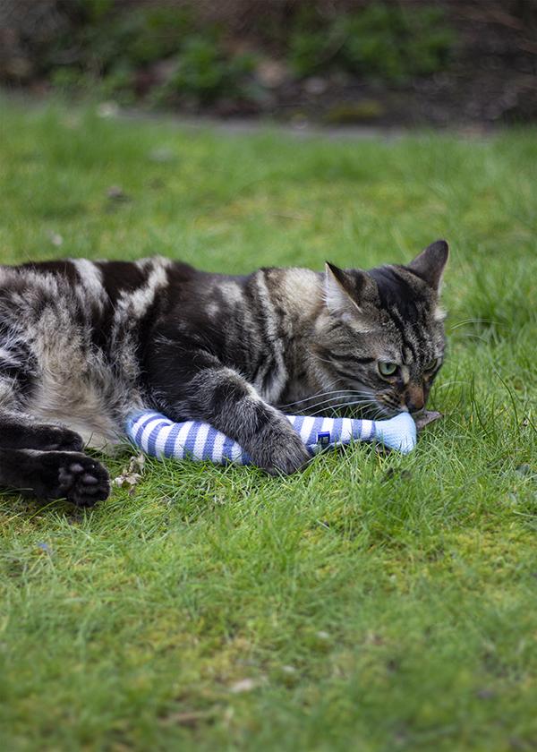 Cat playing with a striped fish toy on grass