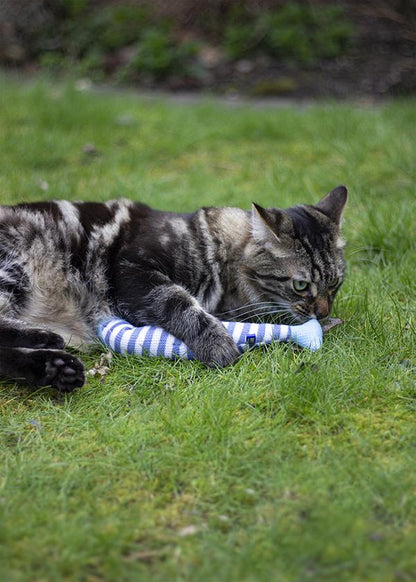 Cat playing with a striped fish toy on grass