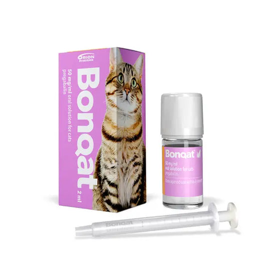Bonqat Oral Solution for Cats 50mg/ml (SCH3 CD)