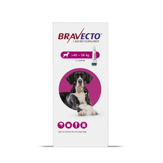 Bravecto packaging for dogs with a size range of 40-56 kg on a white background