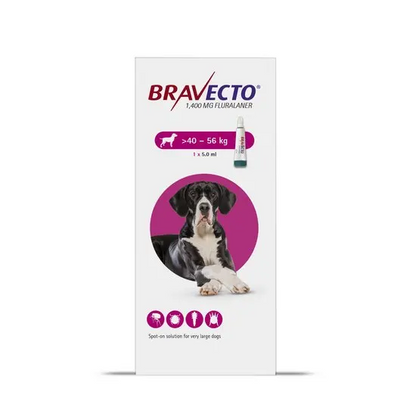 Bravecto packaging for dogs with a size range of 40-56 kg on a white background