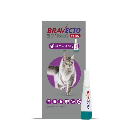 Bravecto Plus Spot-On for Cats