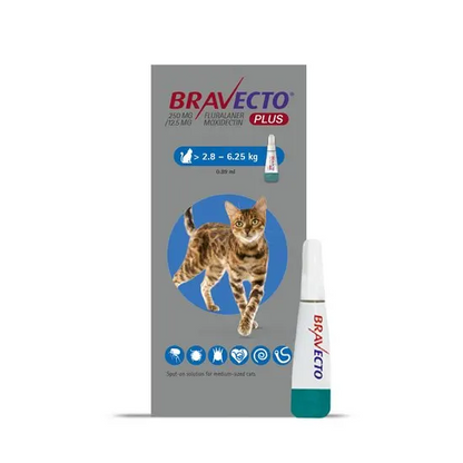 Bravecto Plus Spot-On for Cats
