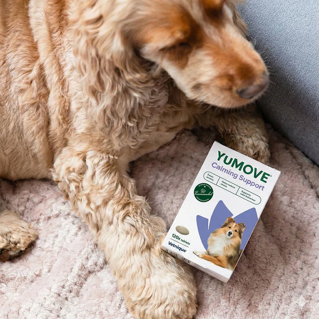 YuMOVE Calming Support for Dogs and Cats