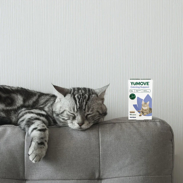YuMOVE Calming Support for Dogs and Cats