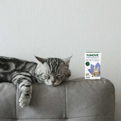 YuMOVE Calming Support for Dogs and Cats