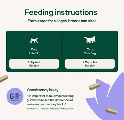 YuMOVE Calming Support for Dogs and Cats