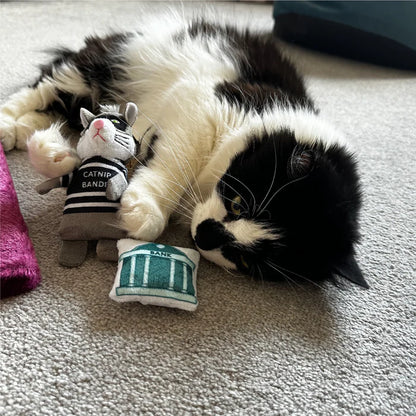 Black and white cat playing with a plush toy on a carpeted floor
