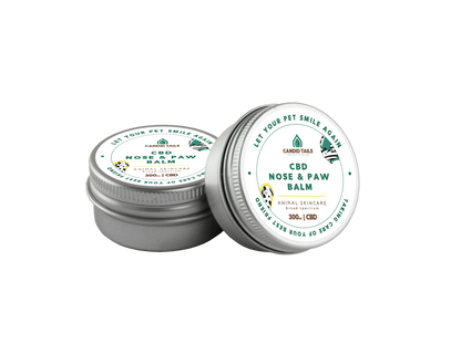 Candid Tails CBD Nose and Paw Balm for Dogs 600mg