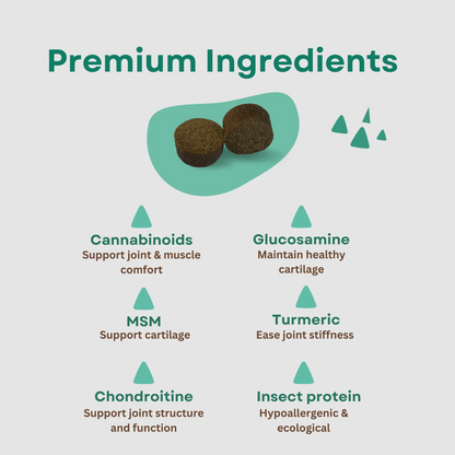 CandidTails Mobility+ CBD Snacks for Dogs (300mg & 900mg)