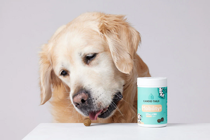 CandidTails Mobility+ CBD Snacks for Dogs (300mg & 900mg)