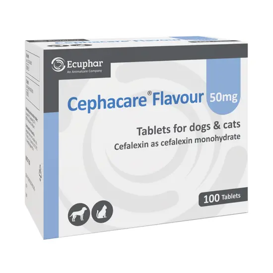 Box of Cephacare Flavour 50mg tablets for dogs and cats, branded by Ecuphar.