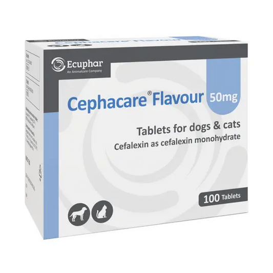 Box of Cephacare Flavour 50mg tablets for dogs and cats, branded by Ecuphar.