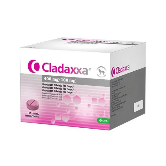Cladaxxa 400mg/100mg packaging for chewable tablets for dogs on a white background