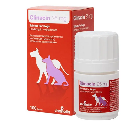 Clinacin 25 mg packaging for dogs with red box and white container on a white background