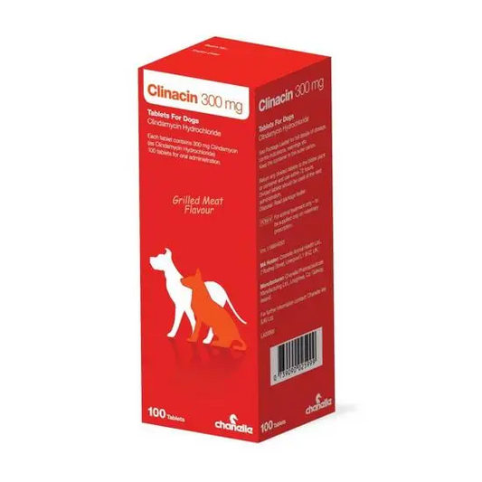Red box of Clinacin 300 mg tablets for dogs on a white background