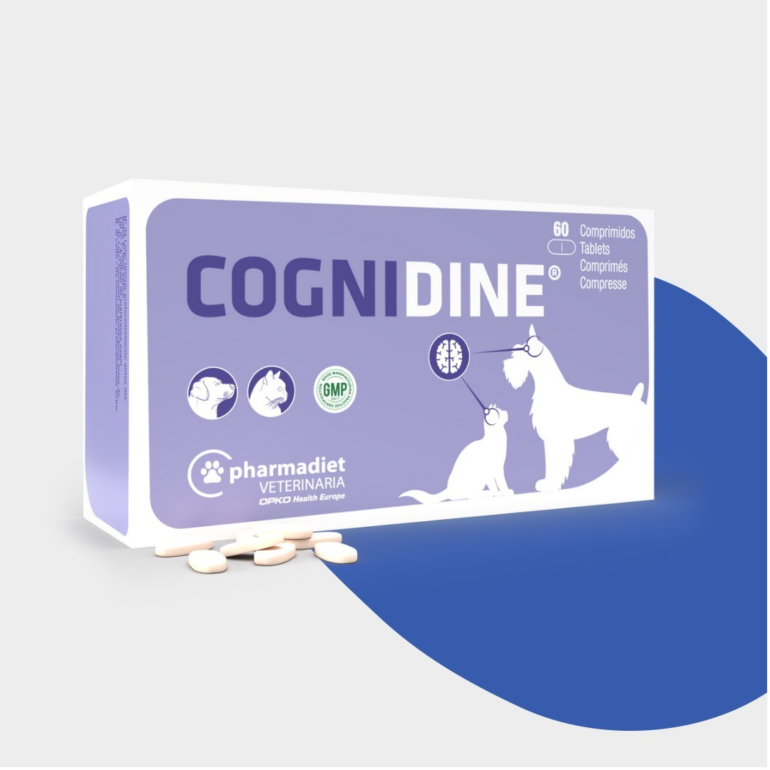 Pharmadiet Cognidine – Cognitive Support Supplement for Dogs & Cats (60 Tablets)