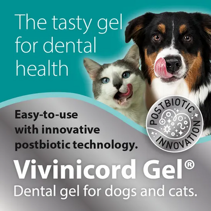 Vivinicord Oral Gel – Dental Support for Dogs and Cats (50ml)