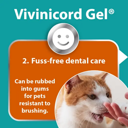 Vivinicord Oral Gel – Dental Support for Dogs and Cats (50ml)