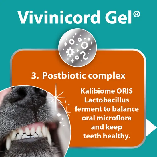 Vivinicord Oral Gel – Dental Support for Dogs and Cats (50ml)
