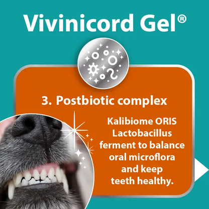 Vivinicord Oral Gel – Dental Support for Dogs and Cats (50ml)