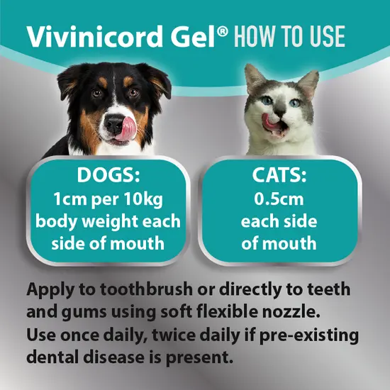 Vivinicord Oral Gel – Dental Support for Dogs and Cats (50ml)