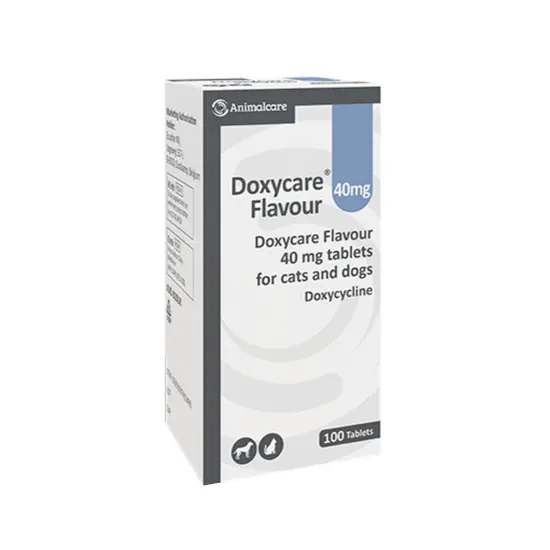 Box of Doxycare 40mg Flavour tablets for cats and dogs on a white background