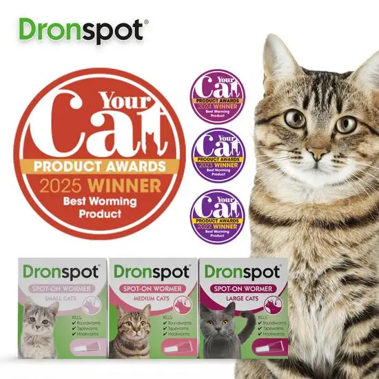 Drontal Wormer Spot-On for Cats (formerly Dronspot)