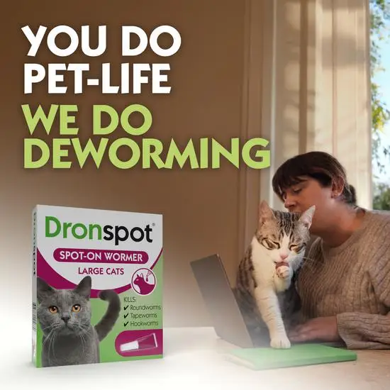 Drontal Wormer Spot-On for Cats (formerly Dronspot)
