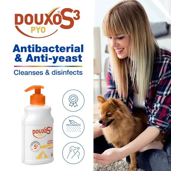 Douxo S3 Pyo Antiseptic Dog and Cat Shampoo 200ml