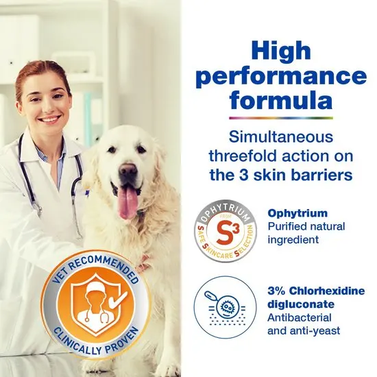 Douxo S3 Pyo Antiseptic Dog and Cat Shampoo 200ml