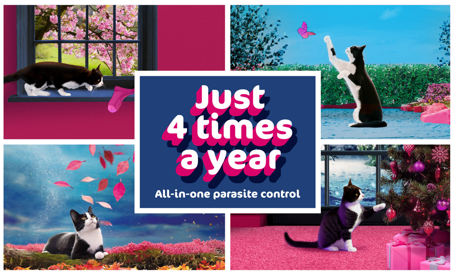 Collage of cats in various poses with promotional text for parasite control. Felpreva advertisement 