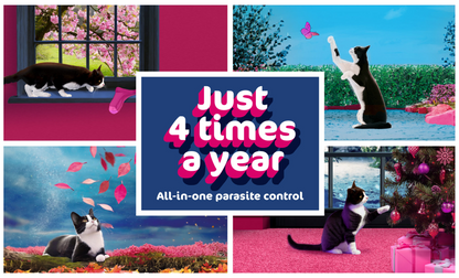 Collage of cats in various poses with promotional text for parasite control. Felpreva advertisement 
